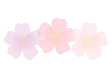 バラ（薔薇）の分割枠（一文字フレーム）
