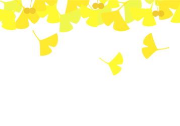 上部枠（秋装飾：イチョウ）