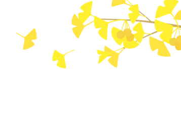 上部枠（秋装飾：イチョウ）