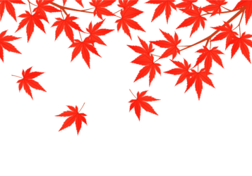 上部枠（秋装飾：カエデ）