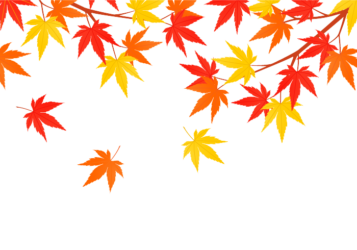 上部枠（秋装飾：カエデ）