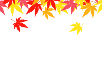 上部枠（秋装飾：カエデ）