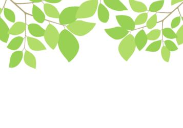 上部装飾枠（緑装飾）