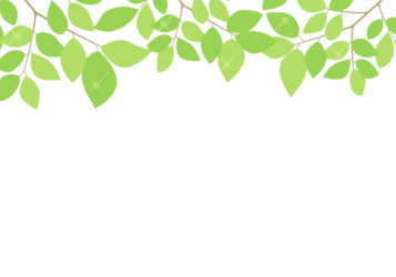 上部装飾枠（緑装飾）