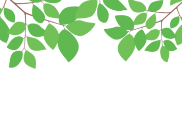 上部装飾枠（緑装飾）