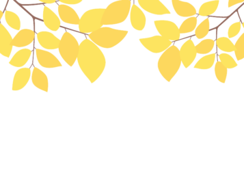 上部装飾枠（緑装飾）