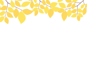 上部装飾枠（緑装飾）