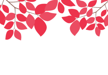 上部装飾枠（緑装飾）