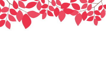 上部装飾枠（緑装飾）