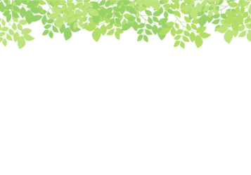 上部装飾枠（緑シルエット装飾）