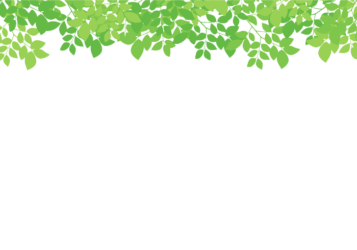 上部装飾枠（緑シルエット装飾）