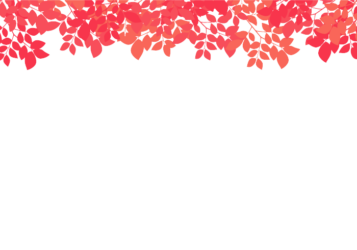 上部装飾枠（緑シルエット装飾）