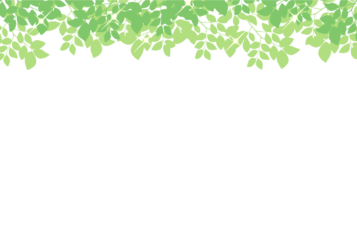 上部装飾枠（緑シルエット装飾）