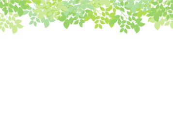上部装飾枠（緑シルエット装飾）