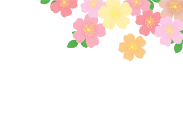 上部装飾枠（バラ装飾）