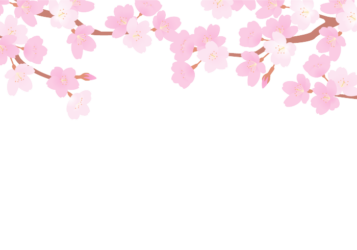 上部装飾枠（サクラ装飾）