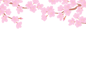上部装飾枠（サクラ装飾）