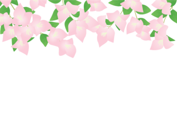 上部枠（夏装飾：ブーゲンビリア）