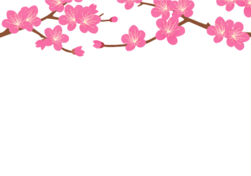 上部枠（冬装飾：ウメの花）