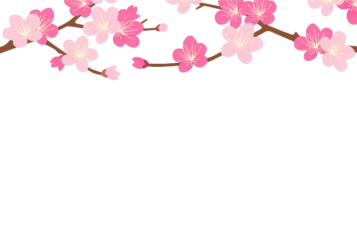 上部枠（冬装飾：ウメの花）