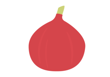 イチジク（無花果）