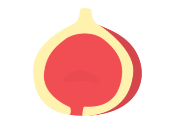 イチジク（無花果）