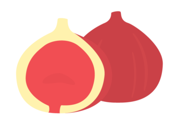 イチジク（無花果）