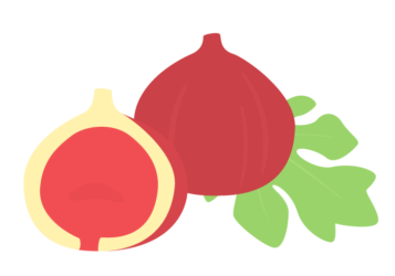 イチジク（無花果）