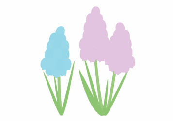 ムスカリ ムスカリ